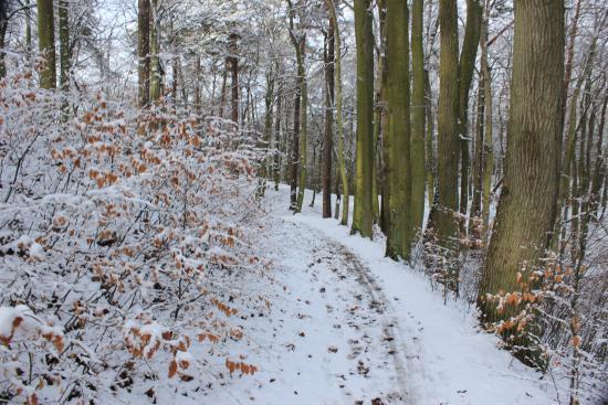 Trójmiejski Park Krajobrazowy